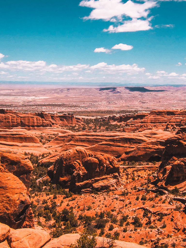 Soulegria Admissions Process