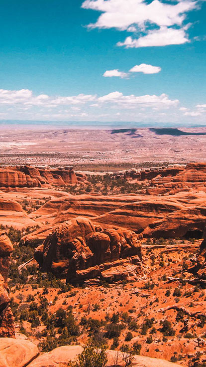 Soulegria Admissions Process